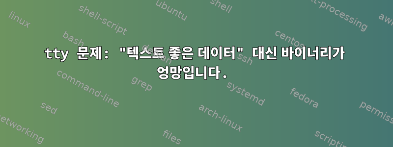 tty 문제: "텍스트 좋은 데이터" 대신 바이너리가 엉망입니다.