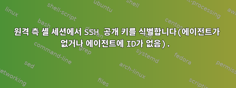 원격 측 셸 세션에서 SSH 공개 키를 식별합니다(에이전트가 없거나 에이전트에 ID가 없음).