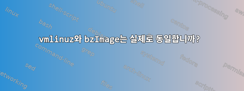 vmlinuz와 bzImage는 실제로 동일합니까?