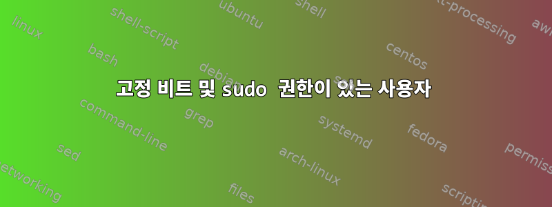 고정 비트 및 sudo 권한이 있는 사용자