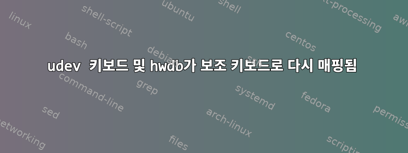 udev 키보드 및 hwdb가 보조 키보드로 다시 매핑됨