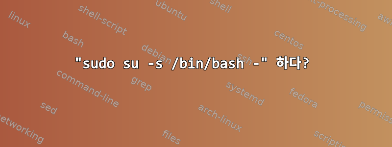 "sudo su -s /bin/bash -" 하다?