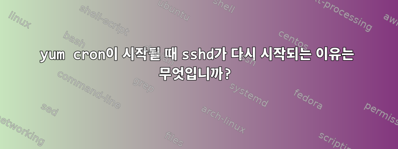 yum cron이 시작될 때 sshd가 다시 시작되는 이유는 무엇입니까?