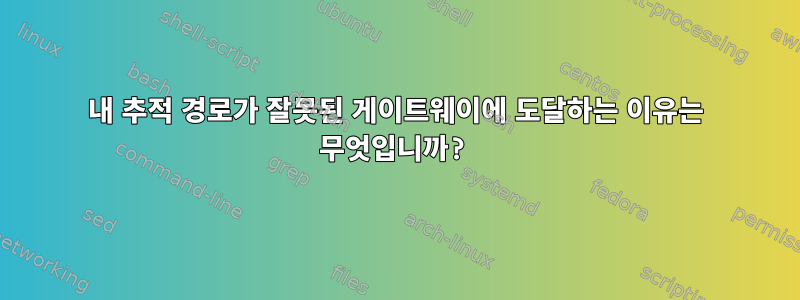 내 추적 경로가 잘못된 게이트웨이에 도달하는 이유는 무엇입니까?