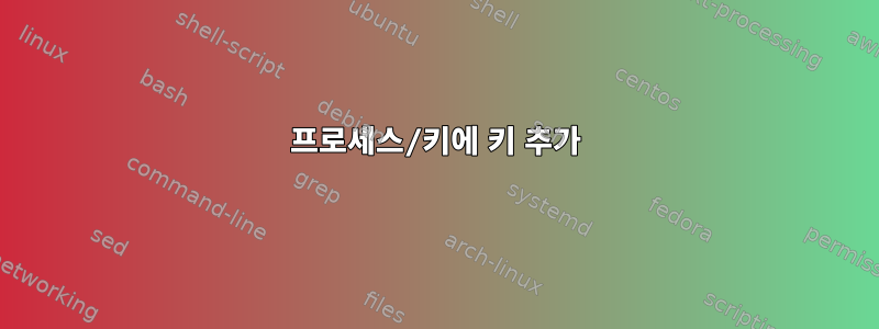 프로세스/키에 키 추가