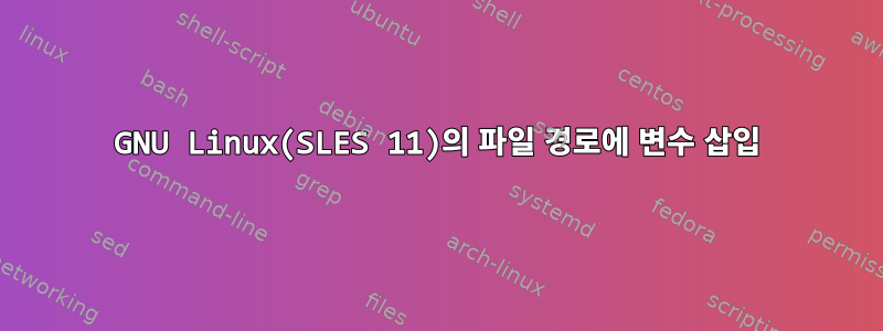 GNU Linux(SLES 11)의 파일 경로에 변수 삽입