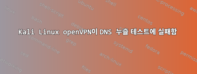 Kali Linux openVPN이 DNS 누출 테스트에 실패함