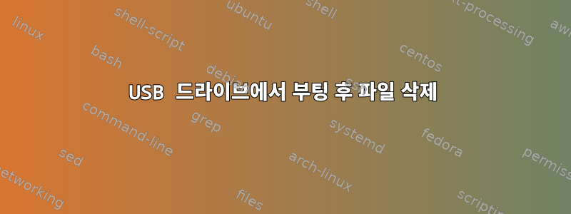 USB 드라이브에서 부팅 후 파일 삭제