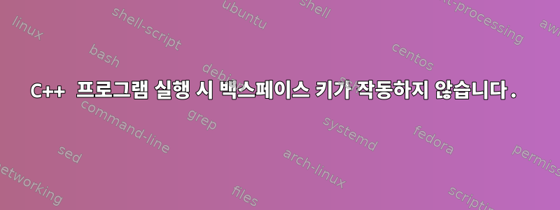 C++ 프로그램 실행 시 백스페이스 키가 작동하지 않습니다.