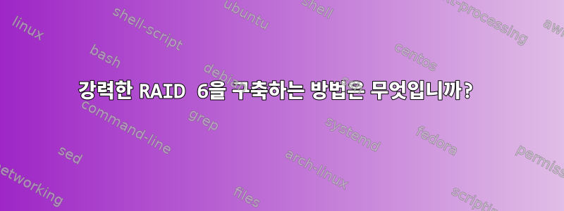 강력한 RAID 6을 구축하는 방법은 무엇입니까?