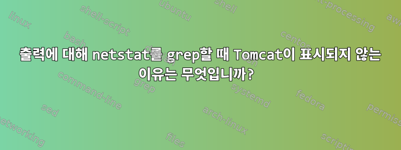 8080 출력에 대해 netstat를 grep할 때 Tomcat이 표시되지 않는 이유는 무엇입니까?