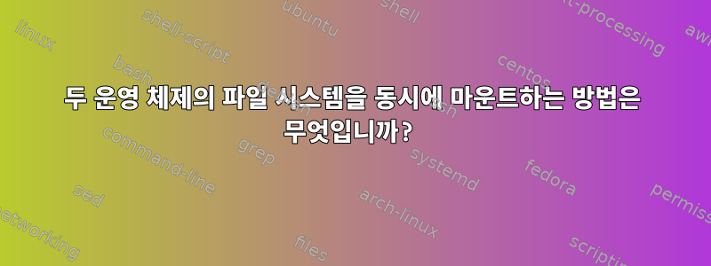 두 운영 체제의 파일 시스템을 동시에 마운트하는 방법은 무엇입니까?