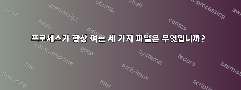 프로세스가 항상 여는 세 가지 파일은 무엇입니까?