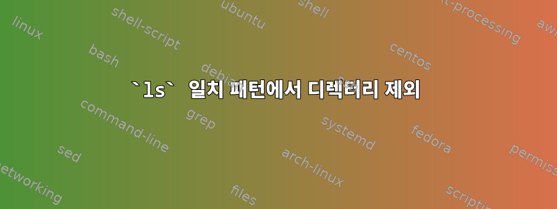 `ls` 일치 패턴에서 디렉터리 제외