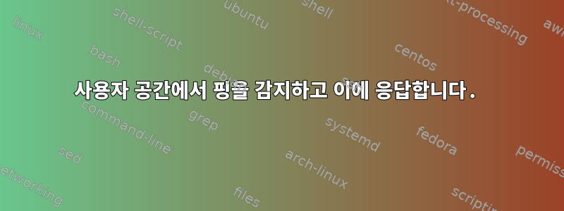 사용자 공간에서 핑을 감지하고 이에 응답합니다.