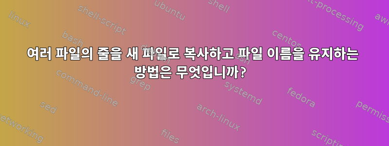 여러 파일의 줄을 새 파일로 복사하고 파일 이름을 유지하는 방법은 무엇입니까?