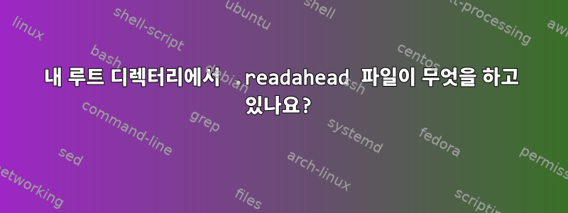 내 루트 디렉터리에서 .readahead 파일이 무엇을 하고 있나요?