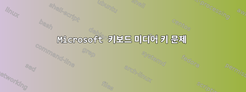 Microsoft 키보드 미디어 키 문제