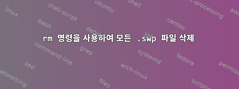 rm 명령을 사용하여 모든 .swp 파일 삭제