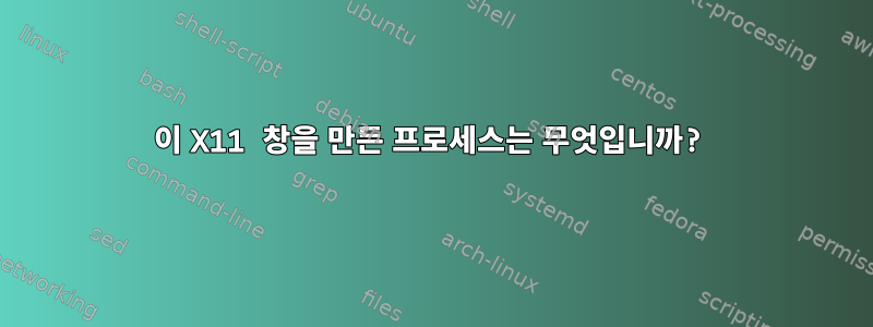 이 X11 창을 만든 프로세스는 무엇입니까?