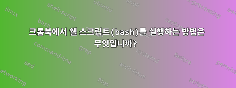 크롬북에서 쉘 스크립트(bash)를 실행하는 방법은 무엇입니까?