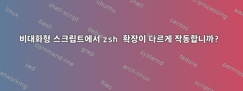 비대화형 스크립트에서 zsh 확장이 다르게 작동합니까?