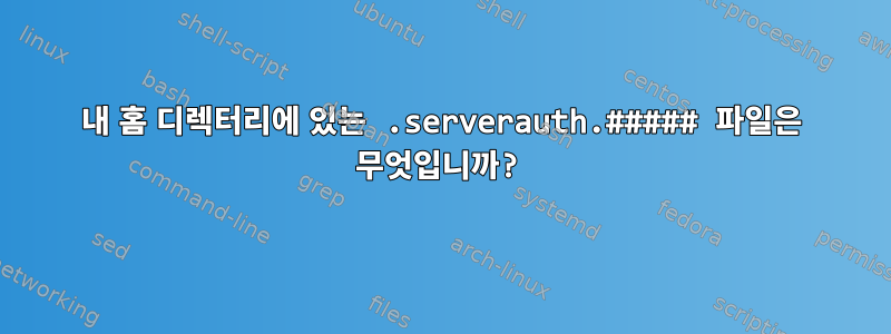 내 홈 디렉터리에 있는 .serverauth.##### 파일은 무엇입니까?