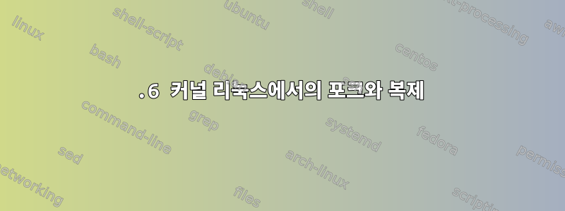 2.6 커널 리눅스에서의 포크와 복제