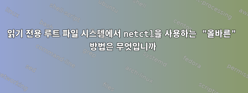 읽기 전용 루트 파일 시스템에서 netctl을 사용하는 "올바른" 방법은 무엇입니까