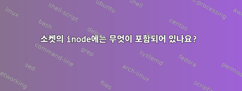 소켓의 inode에는 무엇이 포함되어 있나요?