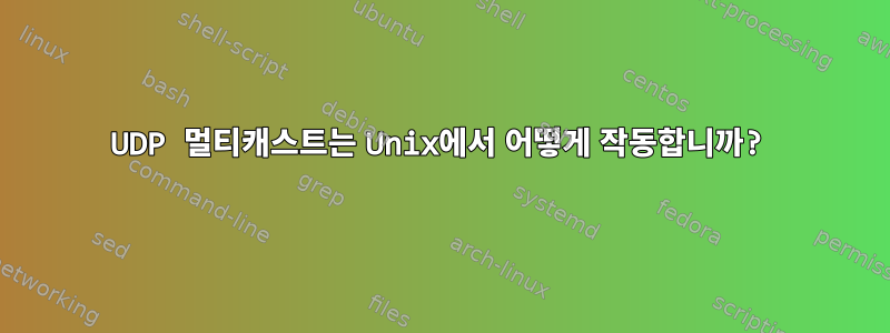 UDP 멀티캐스트는 Unix에서 어떻게 작동합니까?