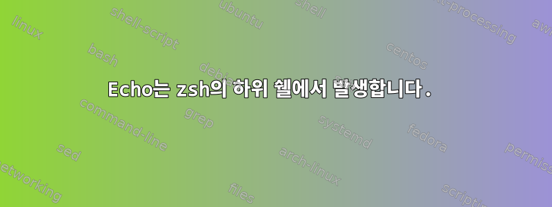 Echo는 zsh의 하위 쉘에서 발생합니다.