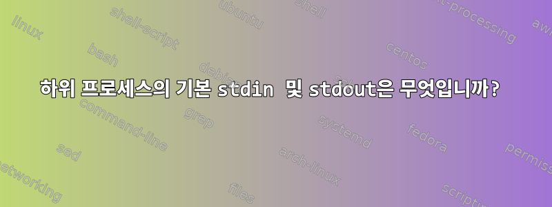 하위 프로세스의 기본 stdin 및 stdout은 무엇입니까?