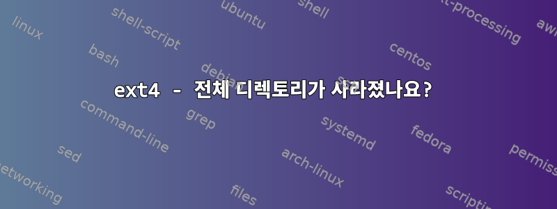 ext4 - 전체 디렉토리가 사라졌나요?