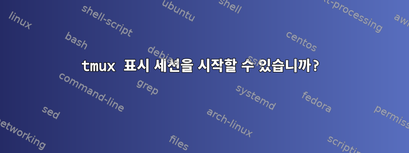 tmux 표시 세션을 시작할 수 있습니까?