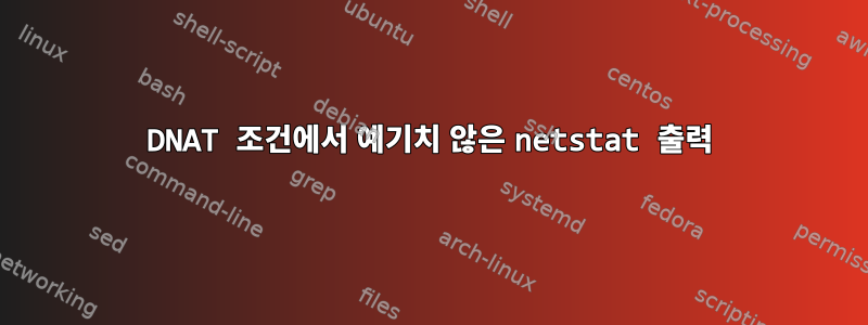 DNAT 조건에서 예기치 않은 netstat 출력