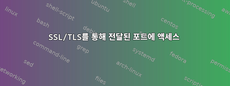 SSL/TLS를 통해 전달된 포트에 액세스