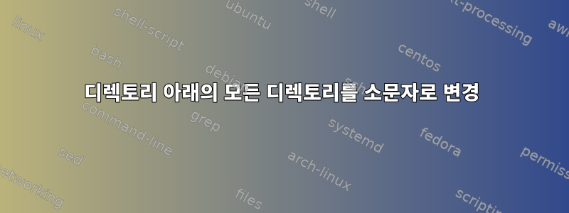 디렉토리 아래의 모든 디렉토리를 소문자로 변경