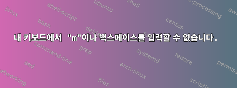 내 키보드에서 "m"이나 백스페이스를 입력할 수 없습니다.