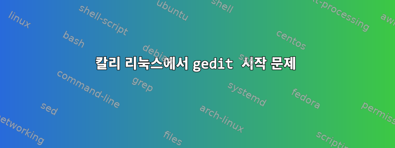 칼리 리눅스에서 gedit 시작 문제