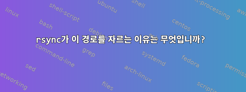 rsync가 이 경로를 자르는 이유는 무엇입니까?