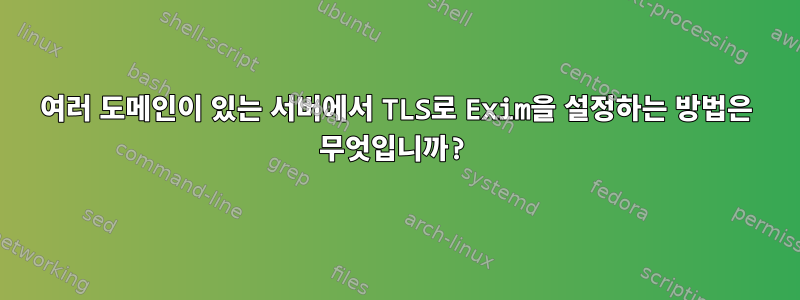 여러 도메인이 있는 서버에서 TLS로 Exim을 설정하는 방법은 무엇입니까?