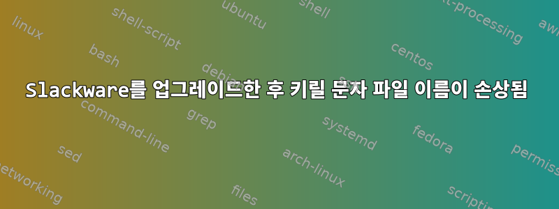 Slackware를 업그레이드한 후 키릴 문자 파일 이름이 손상됨