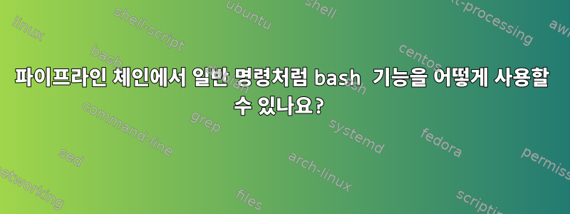 파이프라인 체인에서 일반 명령처럼 bash 기능을 어떻게 사용할 수 있나요?