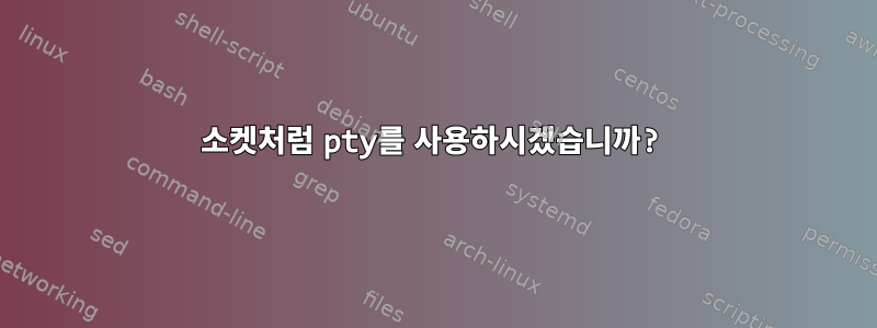 소켓처럼 pty를 사용하시겠습니까?