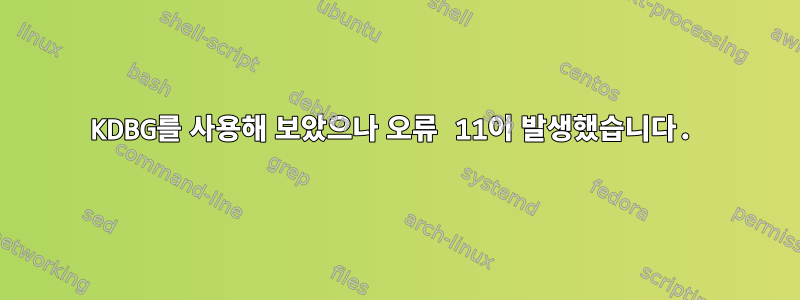 KDBG를 사용해 보았으나 오류 11이 발생했습니다.