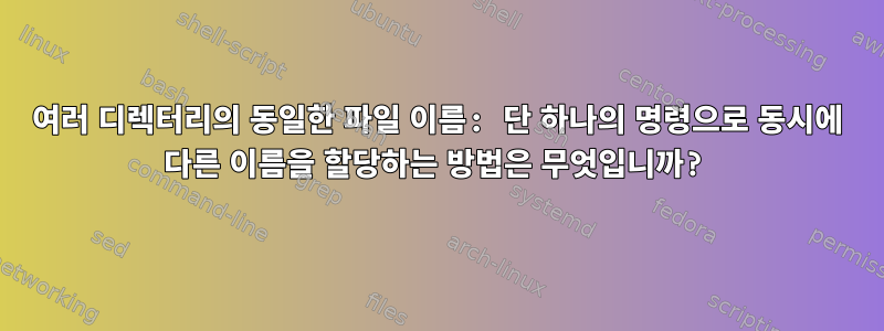 여러 디렉터리의 동일한 파일 이름: 단 하나의 명령으로 동시에 다른 이름을 할당하는 방법은 무엇입니까?