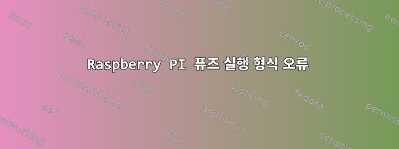 Raspberry PI 퓨즈 실행 형식 오류