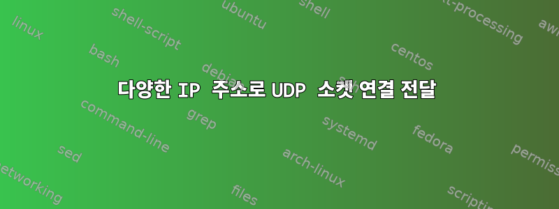 다양한 IP 주소로 UDP 소켓 연결 전달