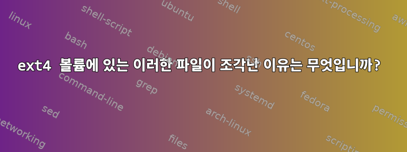 ext4 볼륨에 있는 이러한 파일이 조각난 이유는 무엇입니까?